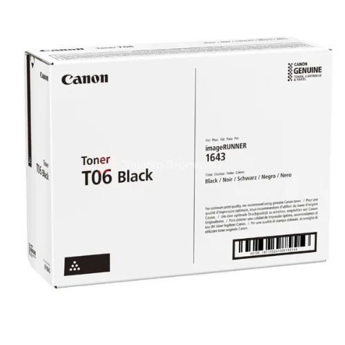 T06